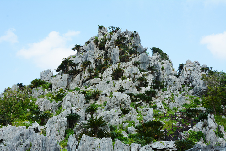 熱帯カルスト地形「大石林山」の巨岩